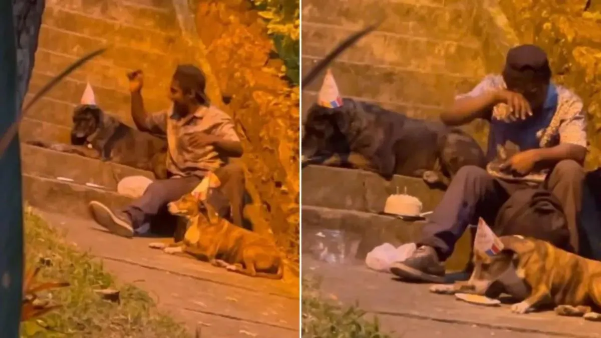 Dakloze jongen viert verjaardag van honden en gaat viral 1